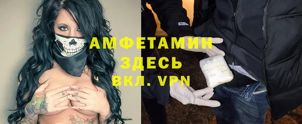 стаф Аркадак