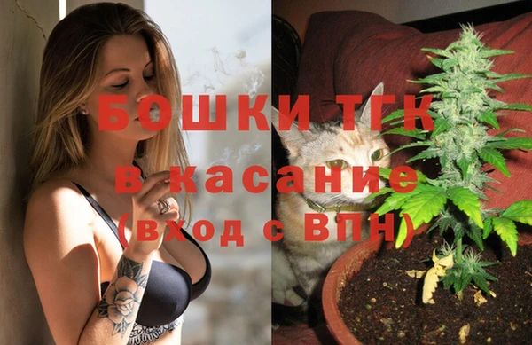 стаф Аркадак