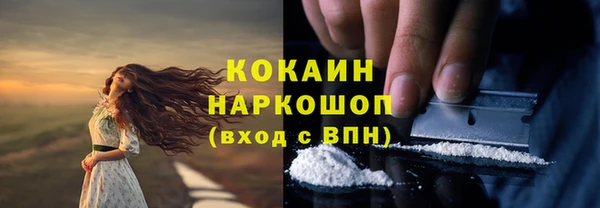стаф Аркадак