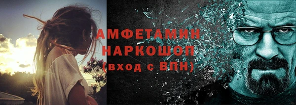 стаф Аркадак