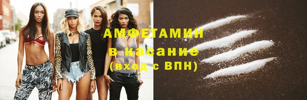 стаф Аркадак