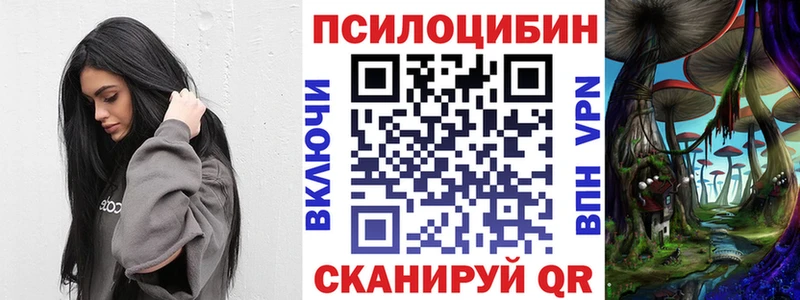 где можно купить   мега зеркало  Псилоцибиновые грибы MAGIC MUSHROOMS  Ивантеевка 
