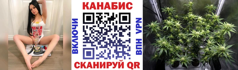 Каннабис сатива  что такое наркотик  Ивантеевка 